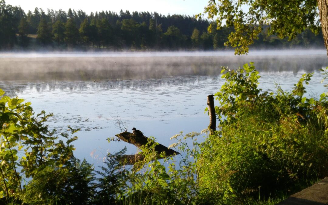 Naturnära gemenskap med UV-scout